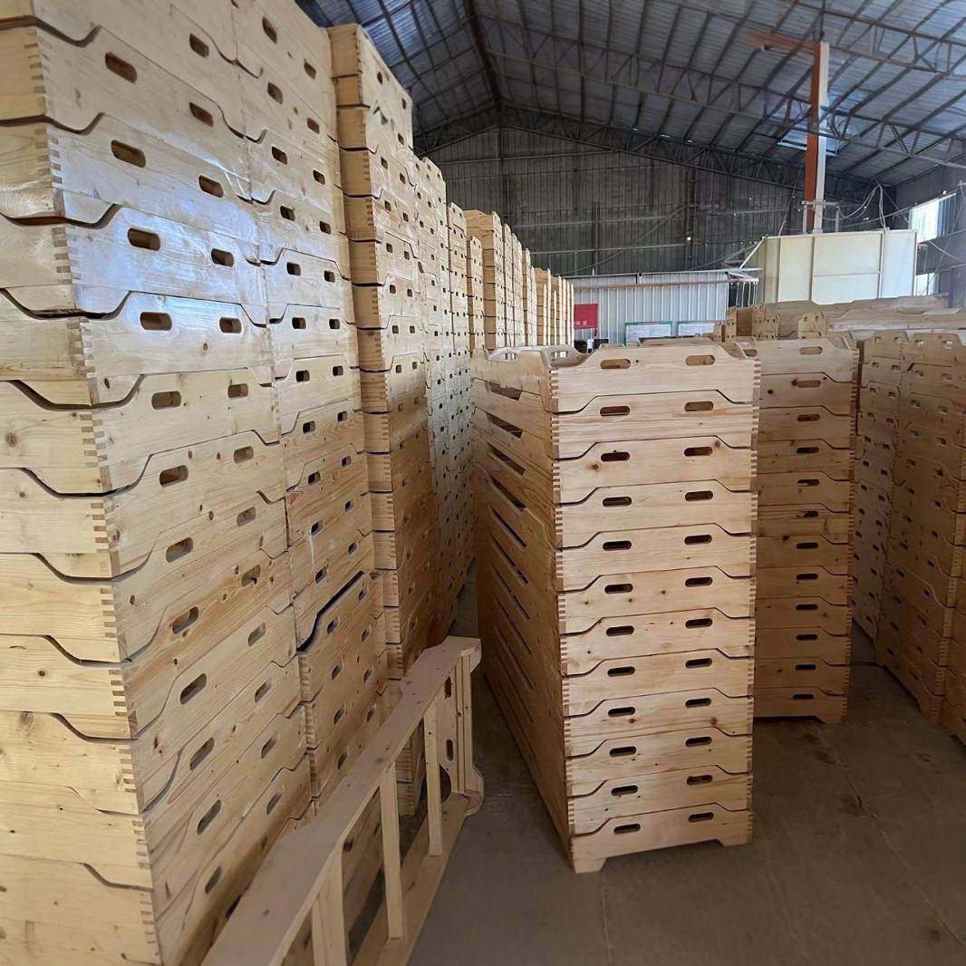 朵恩  幼儿园专用床午睡床实木儿童叠叠床托管班松木宝宝小床