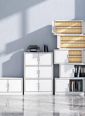 五节文物件凭证柜财务柜会计收纳柜办公档室储LJH-ftwj柜分体柜铁