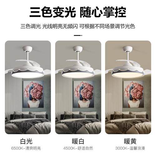 跨境吸顶风灯吊扇灯家用客42-YX1厅餐厅卧室遥控风扇扇吊灯中电山