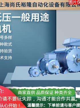 B低压电机HDS10C-122SKNS三相异步电机HDS10C-122MKNS