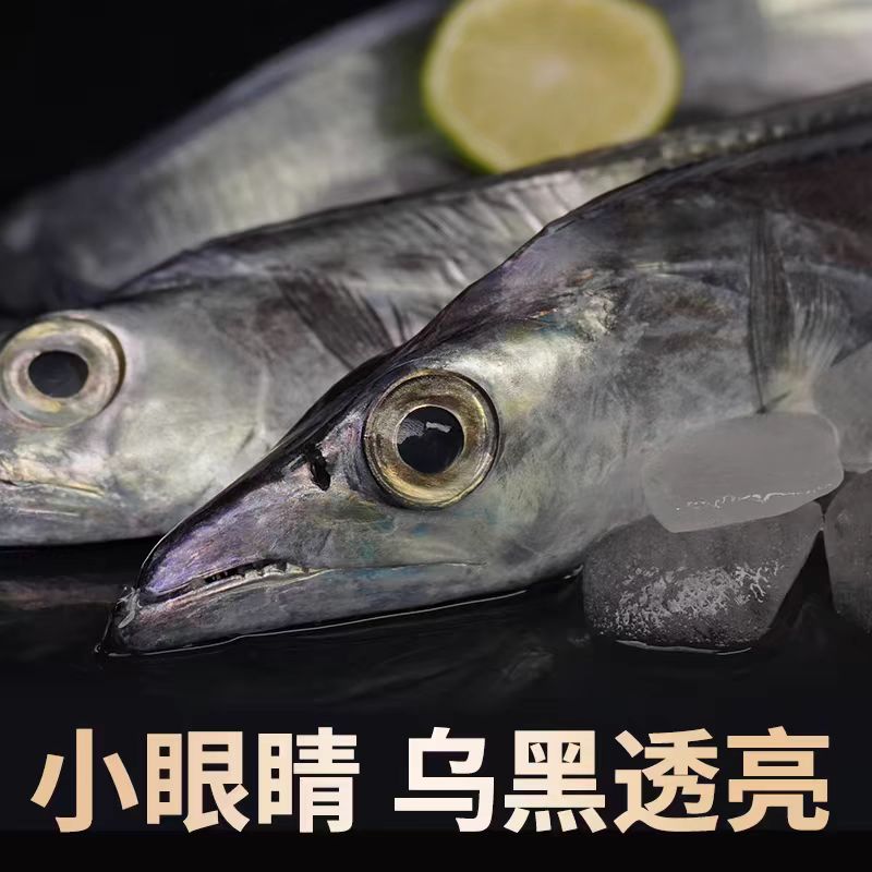 舟山带鱼整条新鲜活冷小眼带鱼4-6两一条四斤
