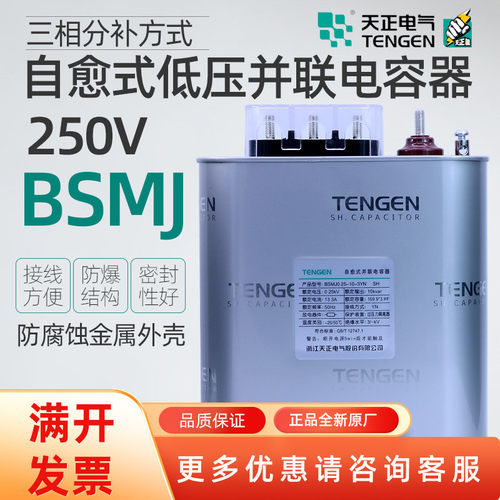 TENGEN天正BSMJ0.25-10-3YN分相补偿自愈式并联低压补偿电容器