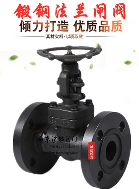 A105N 锻钢法兰闸阀 Z41H-64C 黑皮国标高温高压蒸汽导热油 425度