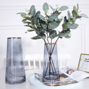 金边简约玻璃花瓶 北欧轻奢透明插花瓶 大号富贵竹水培客厅摆件