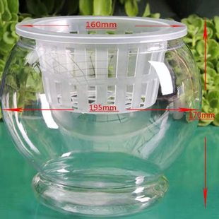 全新塑料透明水培瓶富贵竹绿萝红掌办公室绿植容器红掌花盆高透