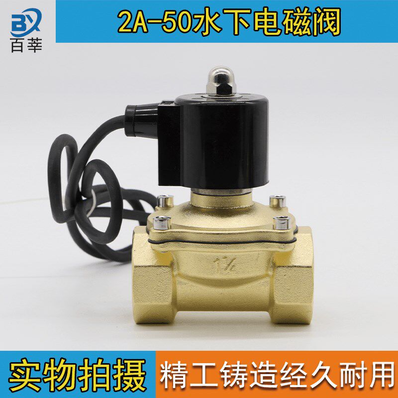 2寸 水下专用电磁阀 水阀  跑泉 喷泉用阀门 2A-50 防水AC220V