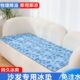 沙发冰垫床垫水床垫子凉席坐垫单人冰凉坐垫学生宿舍夏天降温神器
