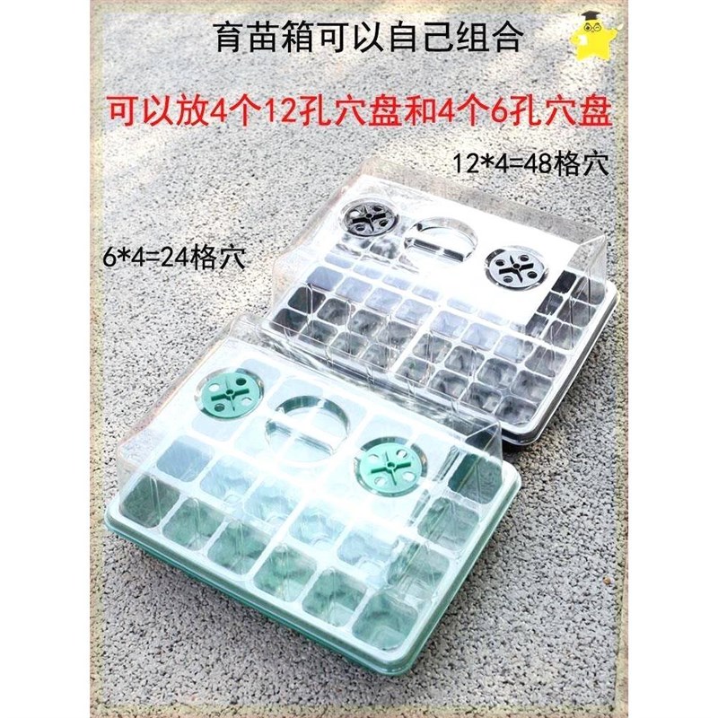 闷养罩育苗花盆k育苗盒育苗托盘培育苗盆多肉扦插盆种菜闷养箱