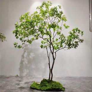 厂家型直销tb-74483仿真马醉木高端绿植物室内外装饰大景观仿生植