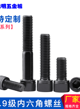 光明五金城 模型螺钉 高强度杯头 12.9级圆柱头内六角螺丝M2系列