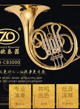 正欧铜管乐器ZFH-CB3000 降B调 漆金高级三键单排学生圆号