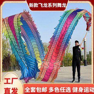 舞龙彩带甩龙广场舞手甩龙健身龙中老年运动道具钢架龙头彩绸8米
