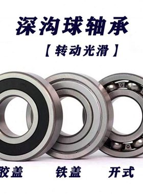 进口轴承 6307 6308 6309 6310 6311 6312 6313 -2Z-2RS1/C3