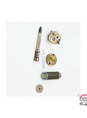 F00GX17004压电喷油器大修包适用0445 116 0445 117