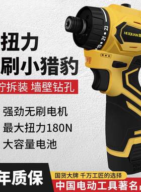 电刷大扭力起子机家用小电批大扭力电动螺丝刀无充手电钻锂LQL电