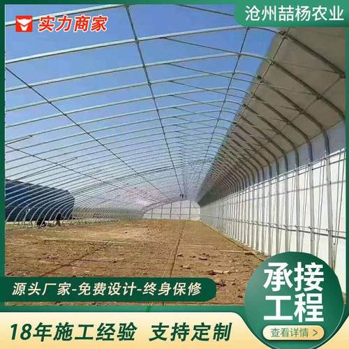 智能温室大棚 农业种植养殖大棚 日光农业温室大棚 薄膜大棚骨架