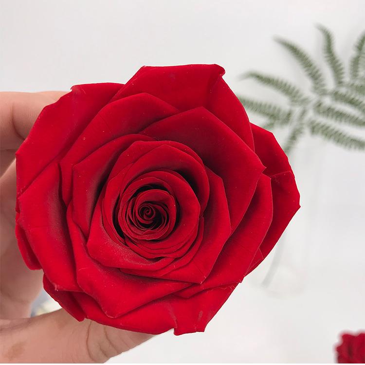 永生玫瑰花头6cm 辅材A级保鲜花花材现货包邮 昆明工厂永生花花头