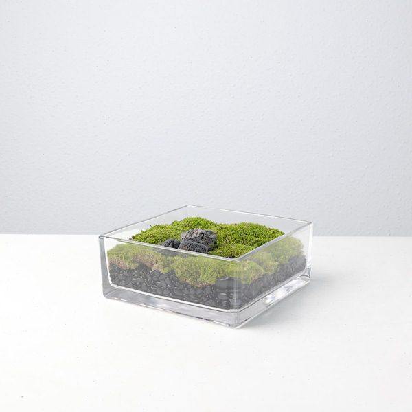 本与样板间客厅方形玻璃苔藓花艺摆件售楼处洽谈桌圆形绿植软装饰