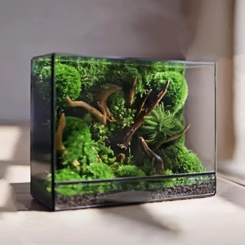 生态璃瓶苔藓绿植盆栽草鱼缸饰造景摆件森林微景观玻璃装花4032玻
