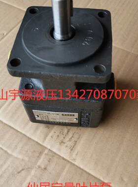 YBD-40 50 63 80 100 32 25 20 16 10 6 仙居定量叶片泵 博创BCHM