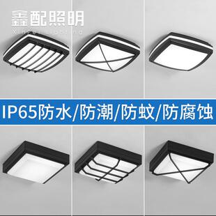 防水户外吸顶灯防虫阳台庭院凉亭入户大门口走廊过道室外房檐顶灯