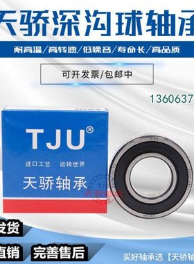 天骄轴承16015 16016 16017 16018 16019 16020 16021  ZZ