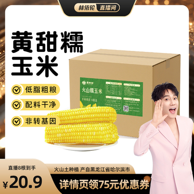 【林依轮直播间】鑫蒙穗黄糯玉米黑龙江新鲜低脂软糯香甜苞谷真空
