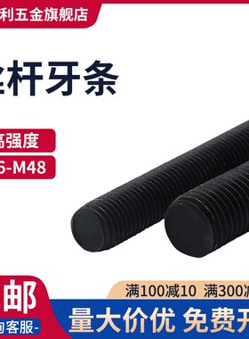 高强度全牙丝杆牙条压板螺丝螺柱螺杆M8M10M12M14M16M18M20M24M48