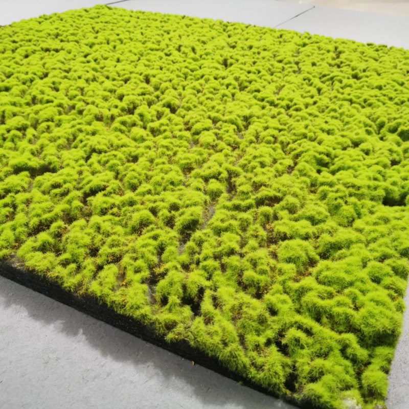 绿植墙 青苔藓草皮 人r造苔草草坪 盆景草 场景橱窗假拍照道具