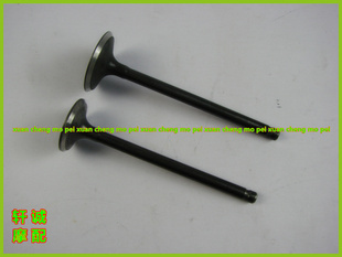 2P7C进排气门进气门排气门 领悦QJ125T 16E 15A