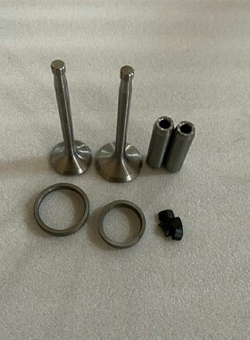 常柴单缸S195ZS1105S1110S1115L24L28L32ZS1125气门四组件四配套