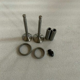 常柴单缸S195ZS1105S1110S1115L24L28L32ZS1125气门四组件四配套