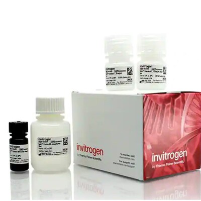 赛默飞 Invitrogen Qubit RNA High检测试剂盒 A50668