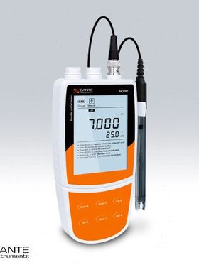 上海般特 Bante903P-CN/UK多参数水质分析仪便携式pH计/溶解氧仪