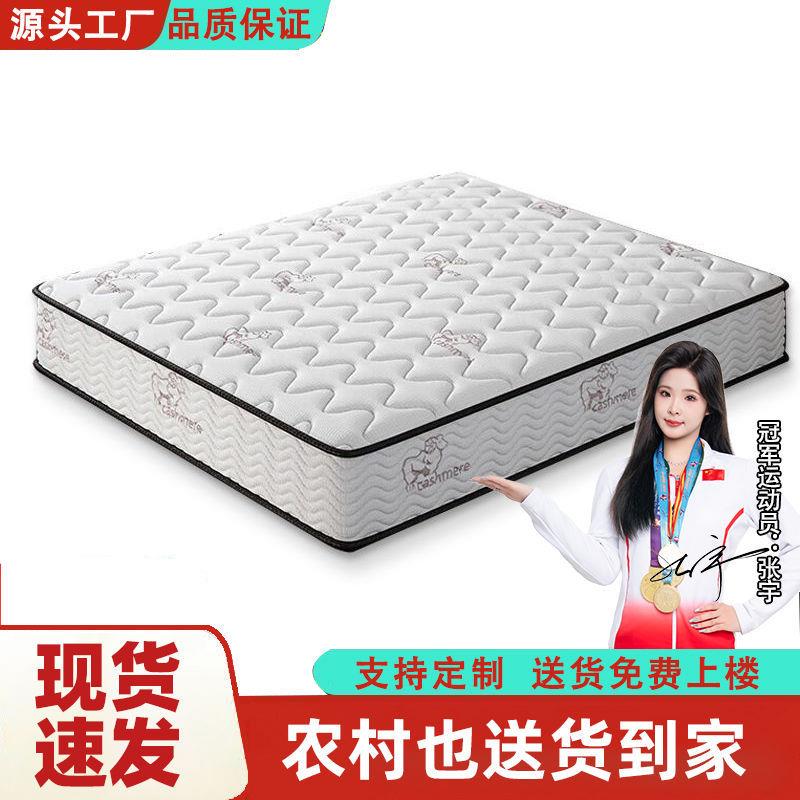 软硬床垫两用双人租房宿舍加厚席梦思经济型乳胶椰棕卧室弹簧床垫