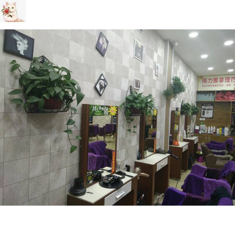 .绿萝花架挂墙上花盆架花架壁挂铁艺欧式包邮室内半圆阳台悬挂
