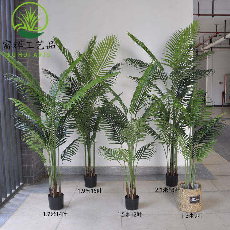 新款仿真贵妃葵凤尾葵散尾葵室内绿植盆栽组合植物道具摆件