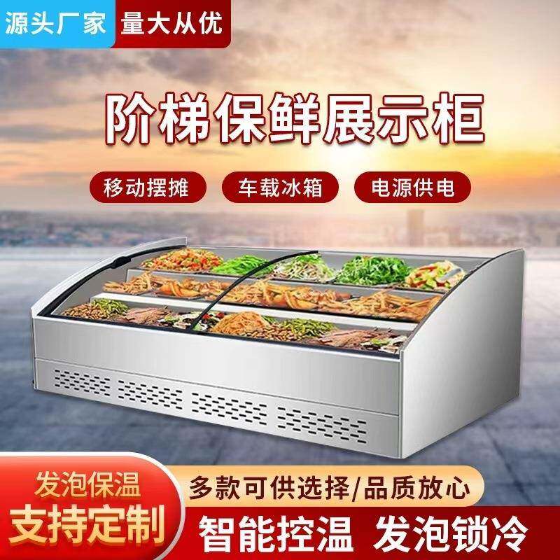 台式阶梯冰柜三轮车夜市摆摊炸串烤串烧烤凉菜展示柜冷藏移动冰柜