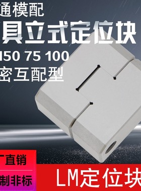 塑模具厂家精密立式0零度固定位块导柱辅助器方形边锁LM50/LM75