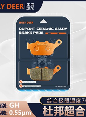 杜邦超合金刹车适用杰迪GZ250 Custom250 巡航车2020年前后碟刹皮