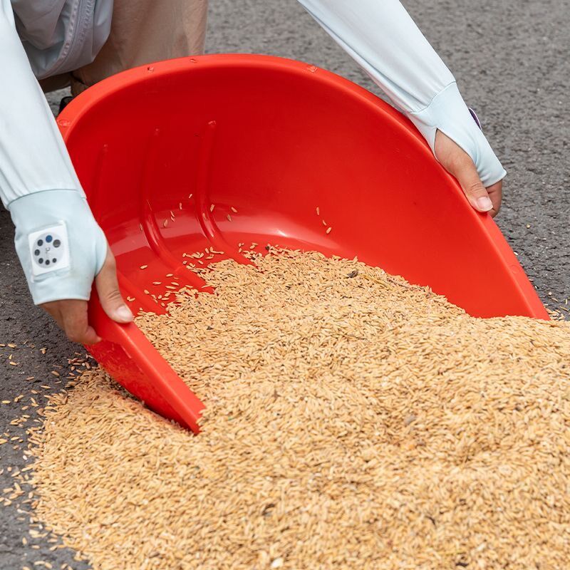 塑料撮箕搓子加厚大号畚斗畚箕簸箕萁垃圾灰铲子粪箕农村稻谷工具