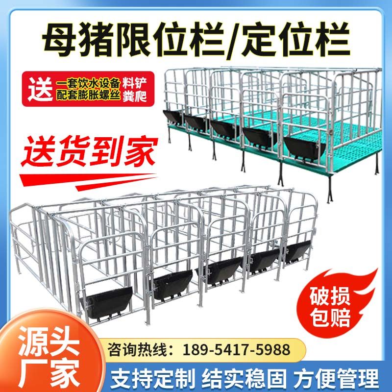 母猪定位栏养猪场设备限位栏落地式带漏粪板加厚热镀锌猪用定位栏