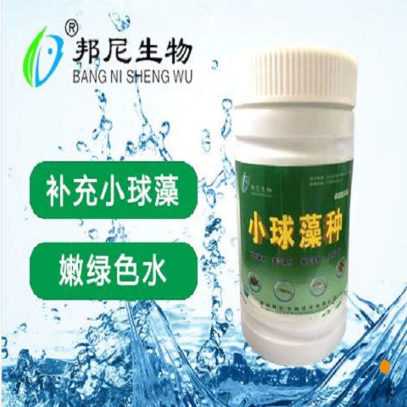 小球藻螃蟹龙虾养殖水质调节剂水产养殖鱼虾蟹贝水产海蟹特大青蟹