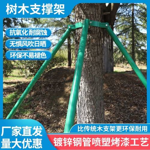 树木支撑架钢管树木m固定器铁抱箍支伸缩杆果树支撑架大树支撑稳