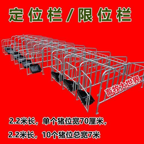 限位栏 定位栏 全复合定位栏 定位高床 猪产床