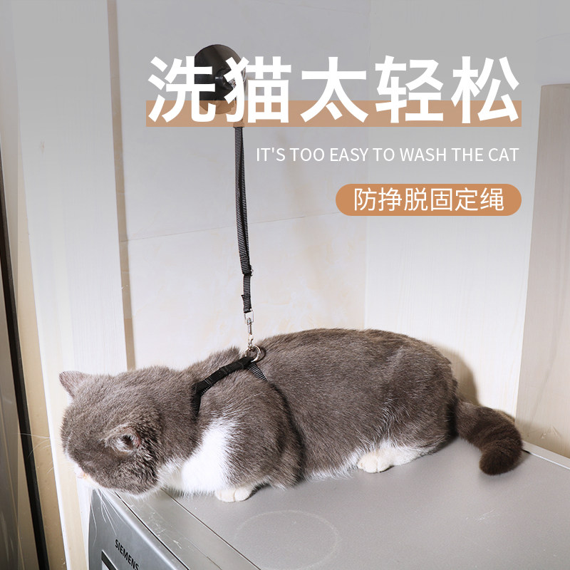 猫咪洗澡神器洗猫剪指甲防抓防咬固定器宠物美容桌拴猫绳子防挣脱