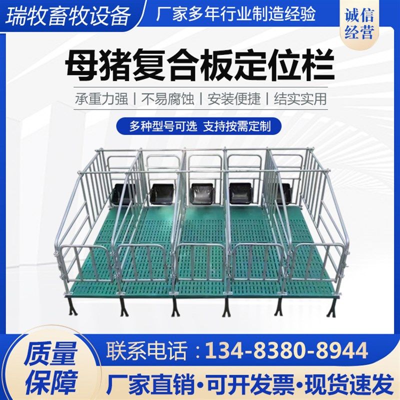 母猪复合式定位栏落地式双体定位栏猪用半限位栏养猪场设备