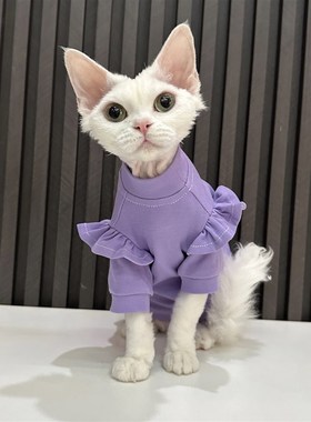 任发财紫色花边T恤无毛猫衣服德文衣服斯芬克斯猫夏季纯棉透气