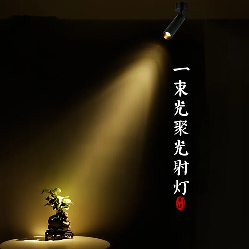 一束光聚光射灯家用防眩3度24led洗墙灯茶室博物馆小角度聚光灯