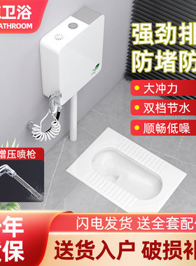 蹲坑蹲便器家用陶瓷冲水箱整套厕所卫生间蹲式大便器池盆卫浴防臭